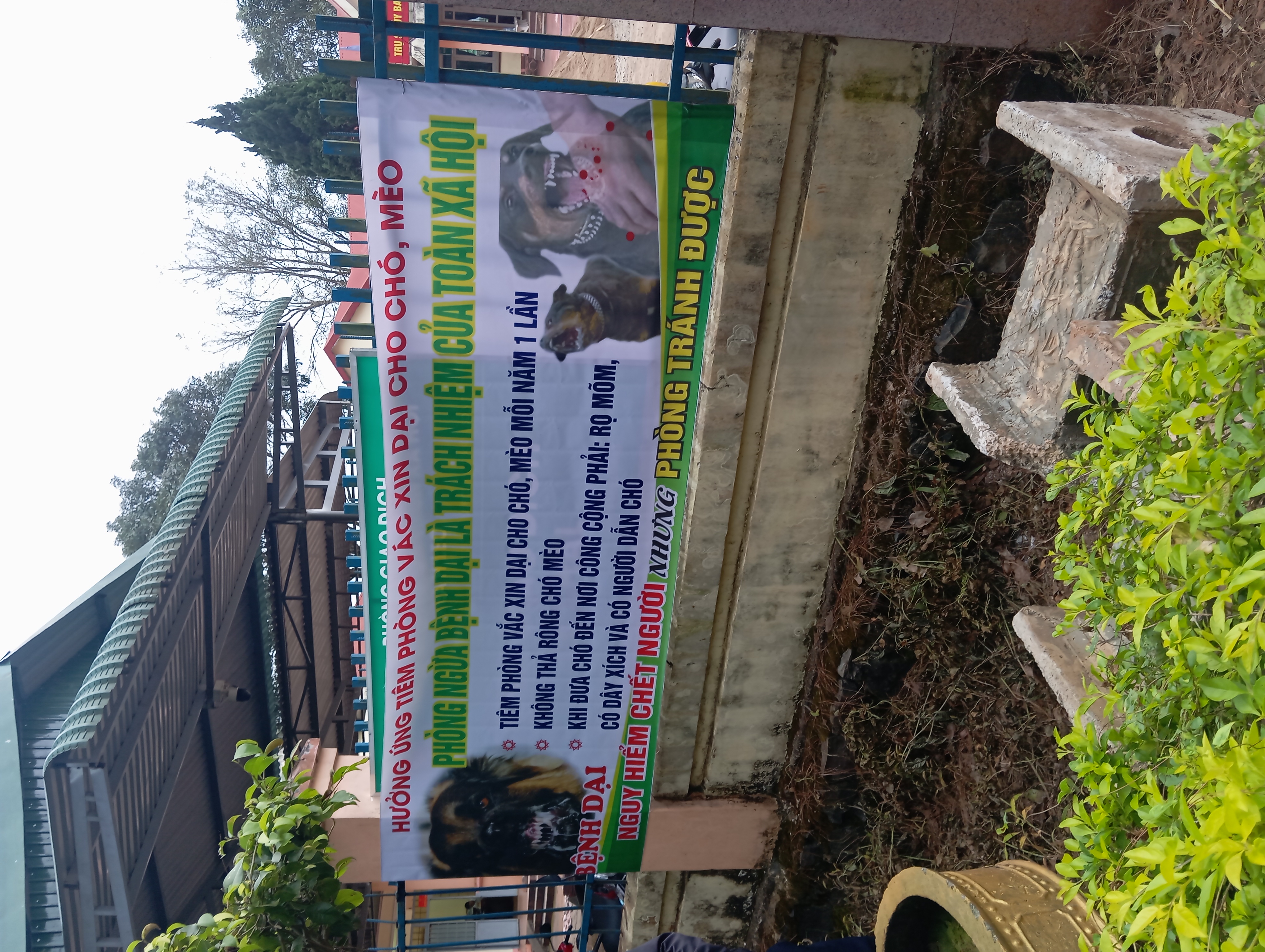 Tích cực, chủ động phòng, chống bệnh dại trên chó, mèo